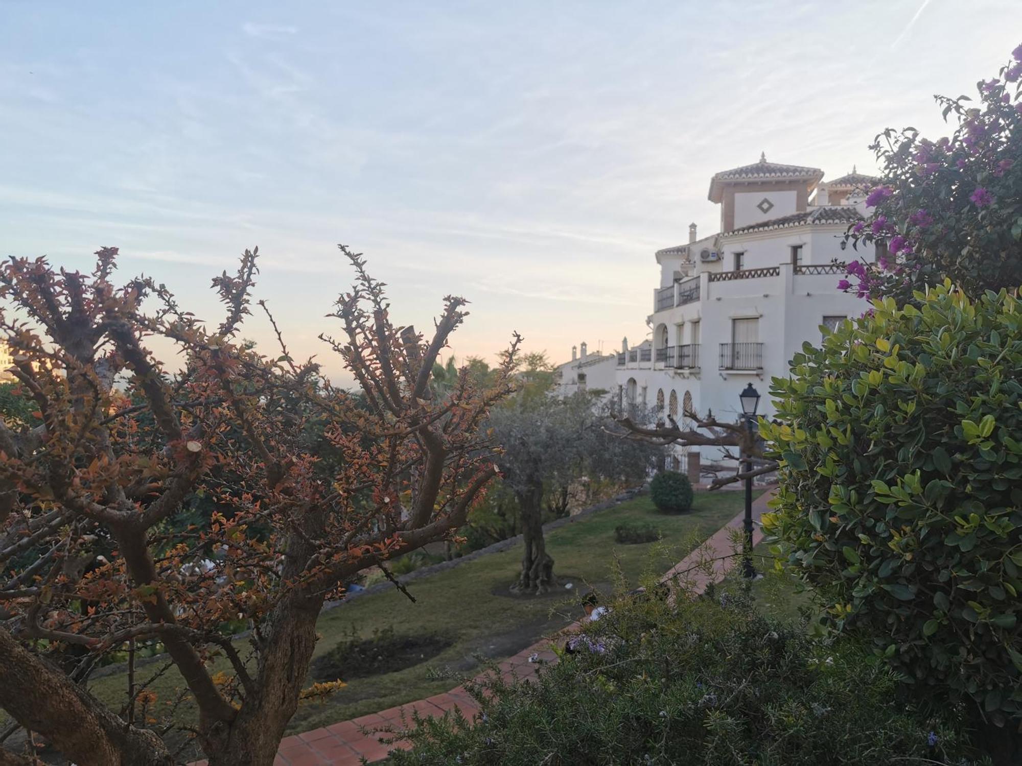 Maria Platero Apartment: With Panoramic Old Town And Mediterranean Views Apartment Frigiliana